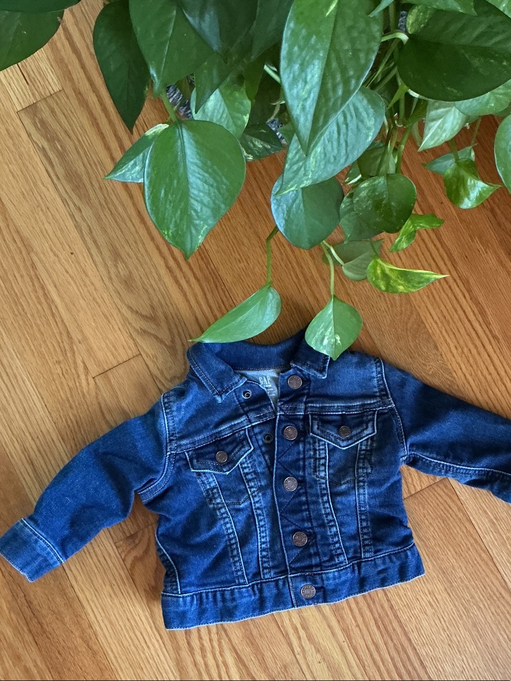 GAP Kids Blue Denim Jacket with Button Front